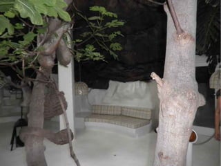 Fundacion Cesar Manrique