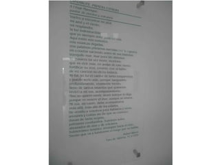 Fundacion Cesar Manrique