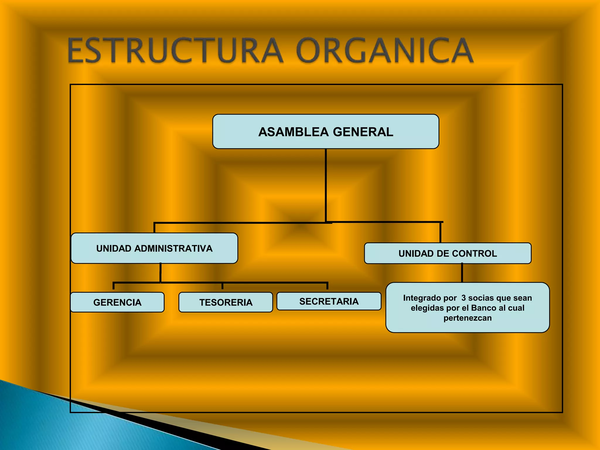 ESTRUCTURA ORGANICA