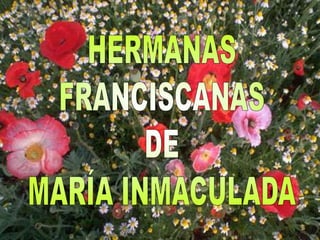 HERMANAS FRANCISCANAS DE MARÍA INMACULADA 