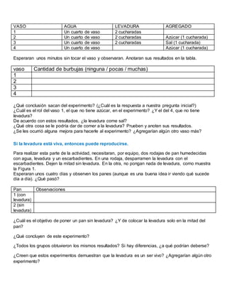VASO AGUA LEVADURA AGREGADO
1 Un cuarto de vaso 2 cucharadas
2 Un cuarto de vaso 2 cucharadas Azúcar (1 cucharada)
3 Un cuarto de vaso 2 cucharadas Sal (1 cucharada)
4 Un cuarto de vaso Azúcar (1 cucharada)
Esperaran unos minutos sin tocar el vaso y observaran. Anotaran sus resultados en la tabla.
vaso Cantidad de burbujas (ninguna / pocas / muchas)
1
2
3
4
¿Qué conclusión sacan del experimento? (¿Cuál es la respuesta a nuestra pregunta inicial?)
¿Cuál es el rol del vaso 1, el que no tiene azúcar, en el experimento? ¿Y el del 4, que no tiene
levadura?
De acuerdo con estos resultados, ¿la levadura come sal?
¿Qué otra cosa se le podría dar de comer a la levadura? Prueben y anoten sus resultados.
¿Se les ocurrió alguna mejora para hacerle al experimento? ¿Agregarían algún otro vaso más?
Si la levadura está viva, entonces puede reproducirse.
Para realizar esta parte de la actividad, necesitaran, por equipo, dos rodajas de pan humedecidas
con agua, levadura y un escarbadientes. En una rodaja, desparramen la levadura con el
escarbadientes. Dejen la mitad sin levadura. En la otra, no pongan nada de levadura, como muestra
la Figura 1.
Esperaran unos cuatro días y observen los panes (aunque es una buena idea ir viendo qué sucede
día a día). ¿Qué pasó?
Pan Observaciones
1 (con
levadura)
2 (sin
levadura)
¿Cuál es el objetivo de poner un pan sin levadura? ¿Y de colocar la levadura solo en la mitad del
pan?
¿Qué concluyen de este experimento?
¿Todos los grupos obtuvieron los mismos resultados? Si hay diferencias, ¿a qué podrían deberse?
¿Creen que estos experimentos demuestran que la levadura es un ser vivo? ¿Agregarían algún otro
experimento?
 