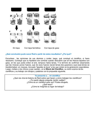 Sin tapa Con tapa hermética Con tapa de gasa
¿Qué conclusión pudo sacar Redi a partir de estos resultados? ¿Por qué?
Escuchara las opiniones de sus alumnos y contar, luego, qué concluyó el científico, si fuera
necesario. Concluyó que su hipótesis era correcta cuando descubrió que en los frascos tapados con
gasa, en los que podía entrar el aire, tampoco había larvas. Y lo terminó de confirmar observando
que las moscas ponían huevos, que de esos huevos nacían larvas (los gusanos) y que esas larvas se
transformaban en moscas. Así pudo “taparles la boca” a los que creían en la generación espontánea.
Luego, invitara a los chicos a que cuenten, en el Block del Científico, su visión acerca de los
científicos y su trabajo con dibujos y palabras con la propuesta siguiente.
Te presento a… mi científico
¿Qué nos dice la historia de Redi sobre qué hacen y cómo trabajan los científicos?
¿Te quedó alguna pregunta dando vueltas?
¿Cómo es un científico para vos? Podes dibujarlo.
¿Qué hace?
¿Cómo te imaginas su lugar de trabajo?
 