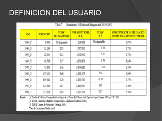DEFINICIÓN DEL USUARIO
 