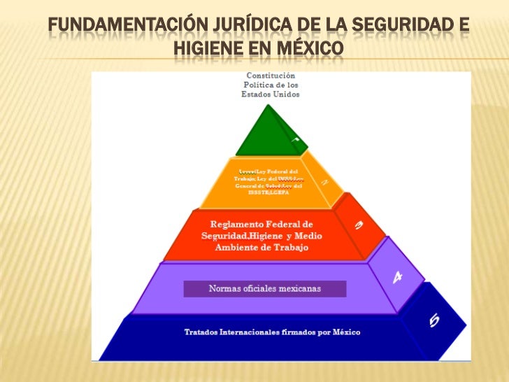 Fundamentación jurídica