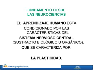 FUNDAMENTO DESDE
      LAS NEUROCIENCIAS

  EL APRENDIZAJE HUMANO ESTÁ
     CONDICIONADO POR LAS
       CARACTERÍSTICAS DEL
   SISTEMA NERVIOSO CENTRAL
(SUSTRACTO BIOLÓGICO U ORGÁNICO),
    QUE SE CARACTERIZA POR:

        LA PLASTICIDAD.
 