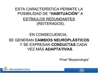 ESTA CARACTERÍSTICA PERMITE LA
   POSIBILIDAD DE “HABITUACIÓN” A
     ESTÍMULOS REDUNDANTES
            (REITERADOS).

          EN CONSECUENCIA,
SE GENERAN CAMBIOS NEUROPLÁSTICOS
     Y SE EXPRESAN CONDUCTAS CADA
         VEZ MÁS ADAPTATIVAS.

                      Pinel:“Biopsicología”
 