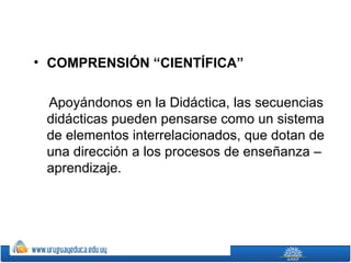 • COMPRENSIÓN “CIENTÍFICA”

 Apoyándonos en la Didáctica, las secuencias
 didácticas pueden pensarse como un sistema
 de elementos interrelacionados, que dotan de
 una dirección a los procesos de enseñanza –
 aprendizaje.
 