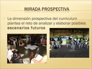    La dimensión prospectiva del curriculum
    plantea el reto de analizar y elaborar posibles
    escenarios futuros
 