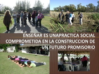 Fundamentacion curriular