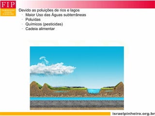 •
Devido as poluições de rios e lagos
–
Maior Uso das Águas subterrâneas
–
Poluídas
–
Químicos (pesticidas)
–
Cadeia alimentar
 