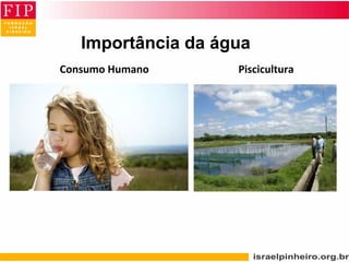 Consumo Humano Piscicultura
Importância da água
 