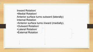 Inward Rotation/
•Medial Rotation/
Anterior surface turns outward (laterally)
Internal Rotation
•Anterior surface turns inward (medially).
•Outward Rotation/
•Lateral Rotation/
•External Rotation
 