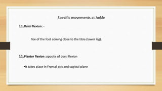Specific movements at Ankle
11.Dorsi flexion :-
Toe of the foot coming close to the tibia (lower leg).
11.Planter flexion :oposite of dorsi flexion
•It takes place in Frontal axis and sagittal plane
 