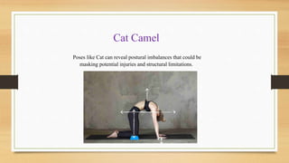 Poses like Cat can reveal postural imbalances that could be
masking potential injuries and structural limitations.
Cat Camel
 