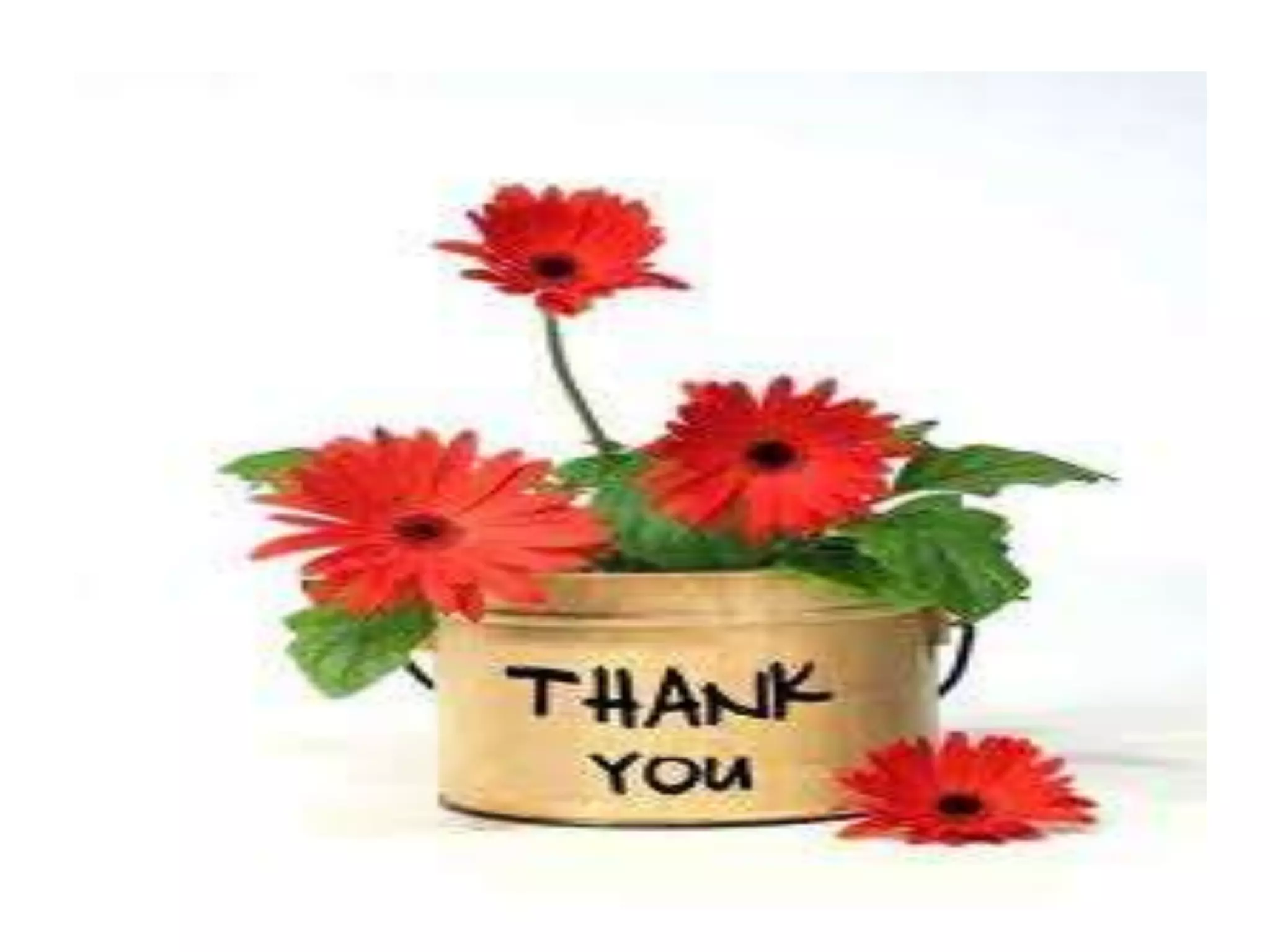 Fundamental concepts in linguistics