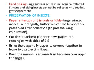 • Hand piciking: large and less active insects can be collected.
Stinging and biting insects can not be collected eg., beetles,
grasshoppers etc.
• PRESERVATION OF INSECTS:
• Paper envelops or triangels or folds- large winged
insect like drangofly, butterflies can be temporarily
preserved after collection (to preseve wing
colouration).
• Cut the absorbent paper or newspaper into
rectangles with sides of 3:5
• Bring the diagonally opposite corners together to
leave two projecting flaps.
• Keep the immobilised insects in between overlappin
trinangles.
 