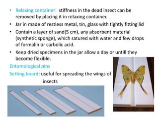 • Relaxing container: stiffness in the dead insect can be
removed by placing it in relaxing container.
• Jar in made of restless metal, tin, glass with tightly fitting lid
• Contain a layer of sand(5 cm), any absorbent material
(synthetic sponge), which satured with water and few drops
of formalin or carbolic acid.
• Keep dried specimens in the jar allow a day or untill they
become flexible.
Entomological pins
Setting board: useful for spreading the wings of
insects
 