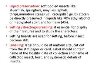• Liquid preservation: soft bodied insects like
sliverflish, springtails, mayflies, aphids,
thrips,immature stages viz., caterpillar, grubs etccan
be directly preserved in liquids like 70% ethyl alcohol
or methylated spirit and formalin (4%).
• Setting /strecting/spreading: it essential for display
of their features and to study the characters.
• Setting boards are used for setting, before insect
become stiff.
• Labelling: label should be of uniform size ,cut out
from the stiff paper or card. Label should contain
name of the locality, date of collection and name of
collector, insect, host, and systematic details of
insects.
 