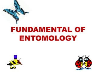 FUNDAMENTAL OF
ENTOMOLOGY
 
