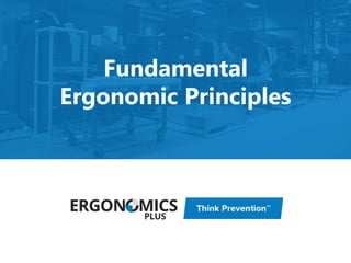Fundamental
Ergonomic Principles
 