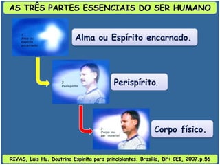 RIVAS, Luis Hu. Doutrina Espírita para principiantes. Brasília, DF: CEI, 2007.p.56
AS TRÊS PARTES ESSENCIAIS DO SER HUMANO
Alma ou Espírito encarnado.
Perispírito.
Corpo físico.
 