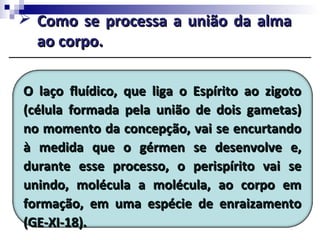  Como se processa a união da almaComo se processa a união da alma
ao corpo.ao corpo.
O laço fluídico, que liga o Espírito ao zigotoO laço fluídico, que liga o Espírito ao zigoto
(célula formada pela união de dois gametas)(célula formada pela união de dois gametas)
no momento da concepção, vai se encurtandono momento da concepção, vai se encurtando
à medida que o gérmen se desenvolve e,à medida que o gérmen se desenvolve e,
durante esse processo, o perispírito vai sedurante esse processo, o perispírito vai se
unindo, molécula a molécula, ao corpo emunindo, molécula a molécula, ao corpo em
formação, em uma espécie de enraizamentoformação, em uma espécie de enraizamento
(GE-XI-18).(GE-XI-18).
 