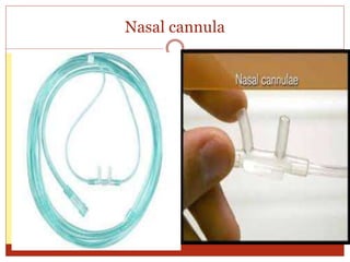 Nasal cannula
 
