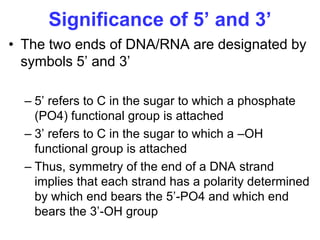 Fundamental_molecular_biology and genetics.pptx