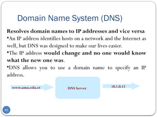Comprehensive Overview of Network Models: OSI and TCP/IP Protocols ...