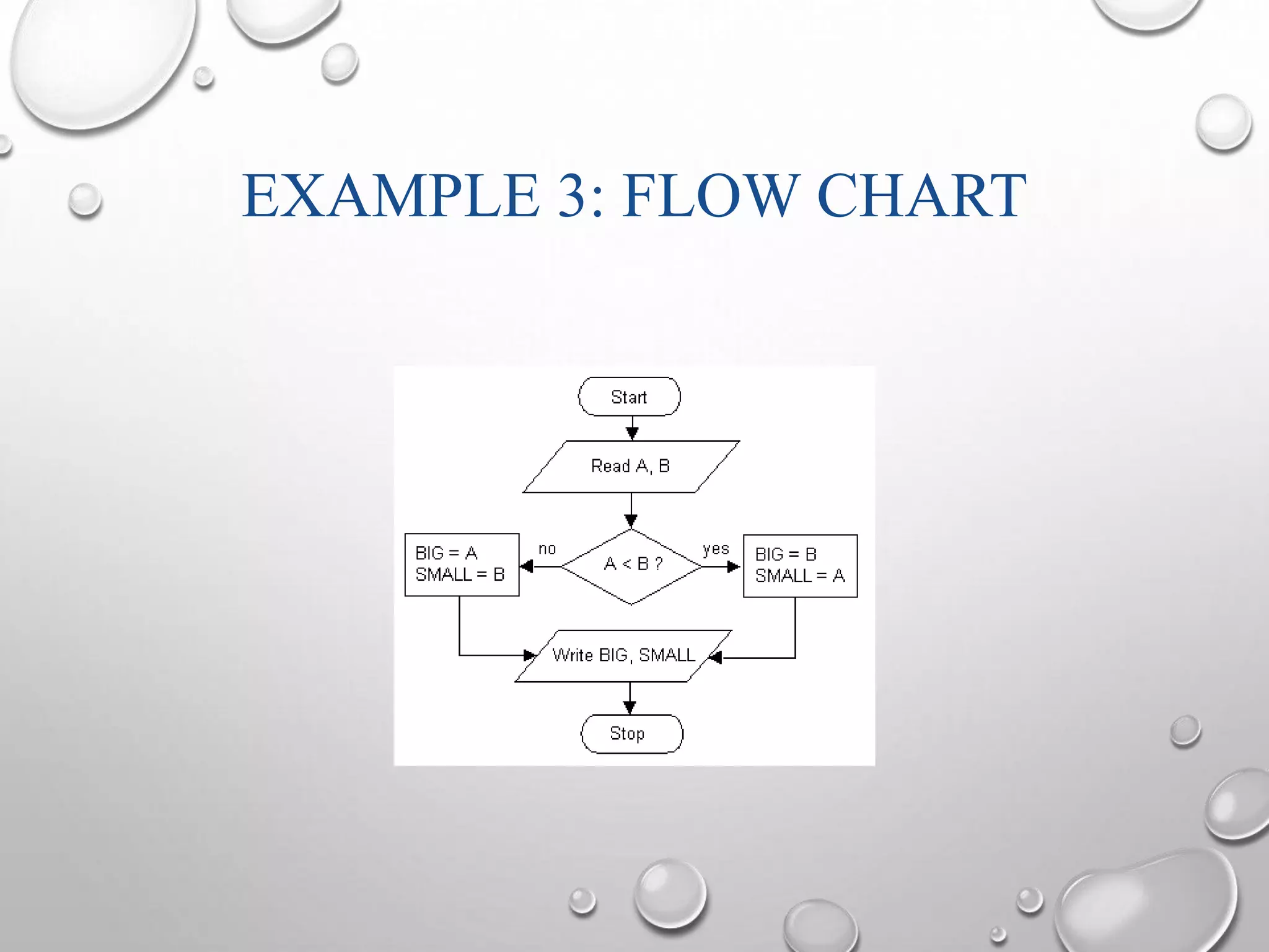 EXAMPLE 3: FLOW CHART 
 