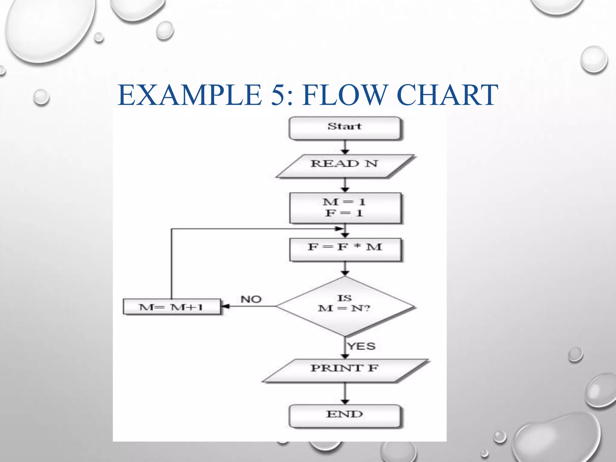 EXAMPLE 5: FLOW CHART 
 