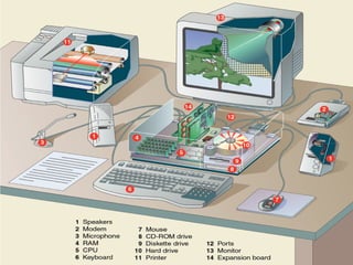 Fundamental of Computers | PPT
