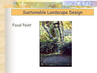Sustainable Landscape Design
Focal Point
 