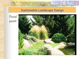 Focal
point
Sustainable Landscape Design
 