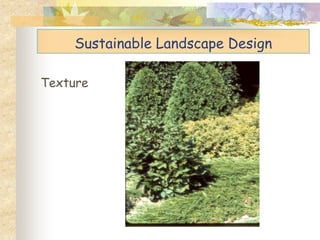 Sustainable Landscape Design
Texture
 