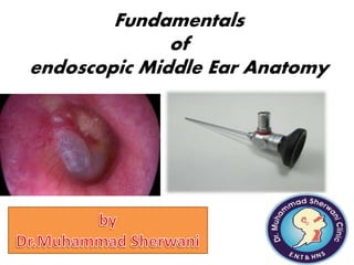 Fundamentals
of
endoscopic Middle Ear Anatomy
 