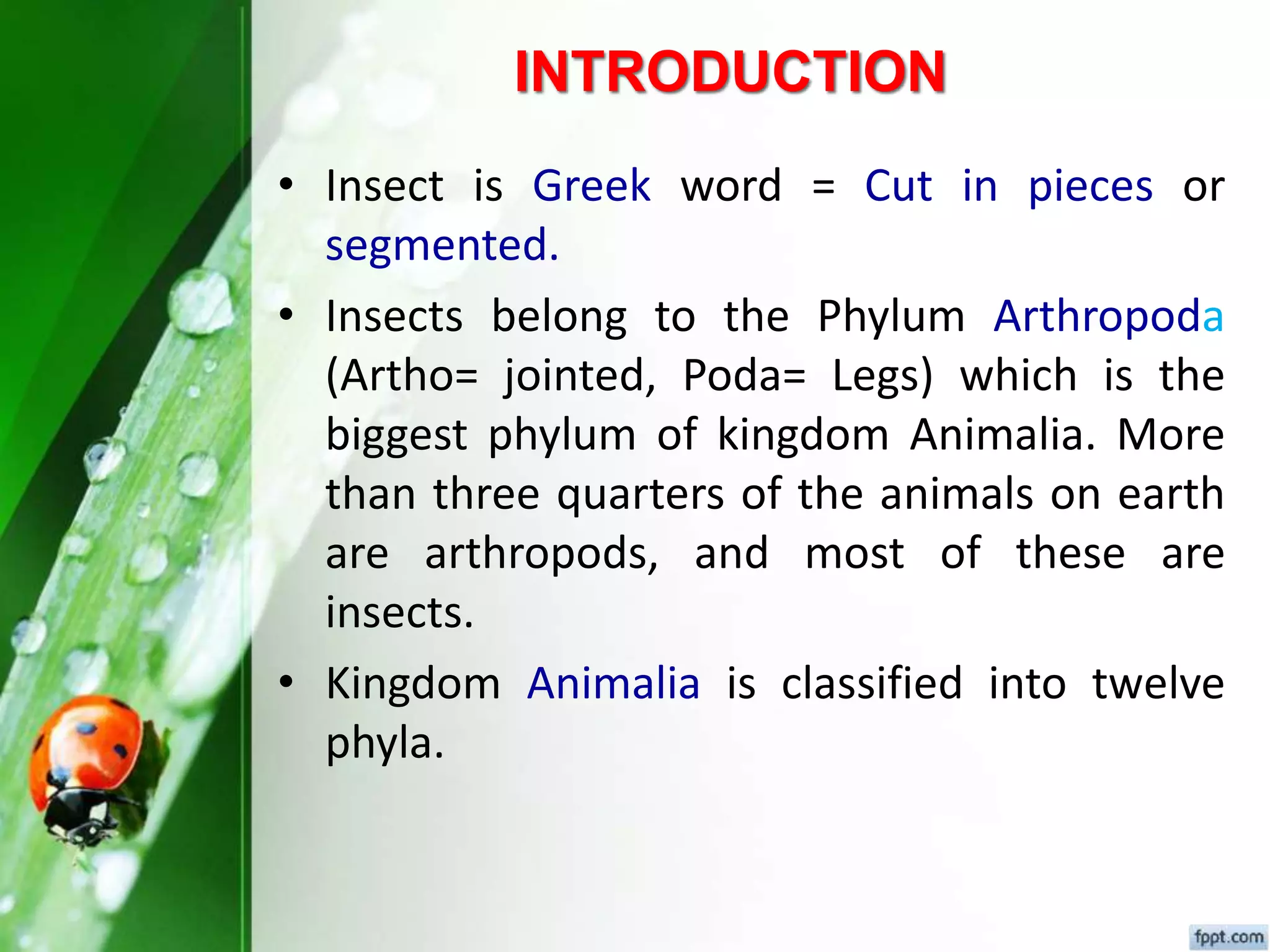Fundamental of entomology Dr.Sunil Prajapati | PPTX
