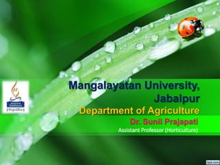 Mangalayatan University,
Jabalpur
Department of Agriculture
Dr. Sunil Prajapati
Assistant Professor (Horticulture)
 