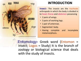 Entomology- Greek word (Entomon =
Insect; Logos = Study) It is the branch of
zoology or biological science that deals
with the study of insects.
INTRODUCTION
Insect:- The insects are the tracheate
arthropods in which the body is divided in
to head, thorax and abdomen possessing
• 2 pairs of wings.
• 3 pairs of working legs.
• 1 pair of antennae.
• Segmented body.
• Having complete and incomplete
metamorphosis.
 