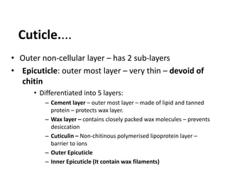 • Outer non-cellular layer – has 2 sub-layers
• Epicuticle: outer most layer – very thin – devoid of
chitin
• Differentiated into 5 layers:
– Cement layer – outer most layer – made of lipid and tanned
protein – protects wax layer.
– Wax layer – contains closely packed wax molecules – prevents
desiccation
– Cuticulin – Non-chitinous polymerised lipoprotein layer –
barrier to ions
– Outer Epicuticle
– Inner Epicuticle (It contain wax filaments)
Cuticle....
 