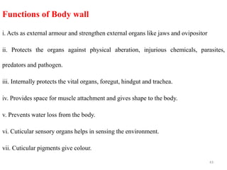 Functions of Body wall
i. Acts as external armour and strengthen external organs like jaws and ovipositor
ii. Protects the organs against physical aberation, injurious chemicals, parasites,
predators and pathogen.
iii. Internally protects the vital organs, foregut, hindgut and trachea.
iv. Provides space for muscle attachment and gives shape to the body.
v. Prevents water loss from the body.
vi. Cuticular sensory organs helps in sensing the environment.
vii. Cuticular pigments give colour.
43
 