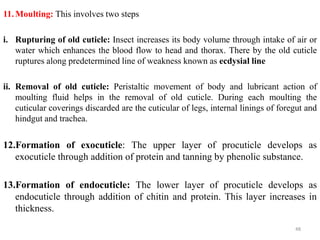 11.Moulting: This involves two steps
i. Rupturing of old cuticle: Insect increases its body volume through intake of air or
water which enhances the blood flow to head and thorax. There by the old cuticle
ruptures along predetermined line of weakness known as ecdysial line
ii. Removal of old cuticle: Peristaltic movement of body and lubricant action of
moulting fluid helps in the removal of old cuticle. During each moulting the
cuticular coverings discarded are the cuticular of legs, internal linings of foregut and
hindgut and trachea.
12.Formation of exocuticle: The upper layer of procuticle develops as
exocuticle through addition of protein and tanning by phenolic substance.
13.Formation of endocuticle: The lower layer of procuticle develops as
endocuticle through addition of chitin and protein. This layer increases in
thickness.
48
 