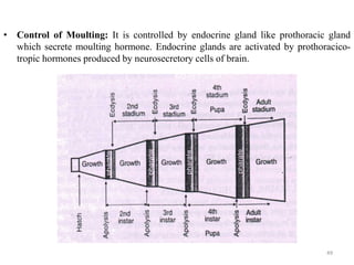 • Control of Moulting: It is controlled by endocrine gland like prothoracic gland
which secrete moulting hormone. Endocrine glands are activated by prothoracico-
tropic hormones produced by neurosecretory cells of brain.
49
 