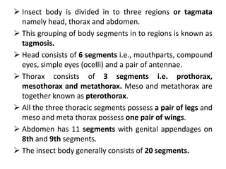  Insect body is divided in to three regions or tagmata
namely head, thorax and abdomen.
 This grouping of body segments in to regions is known as
tagmosis.
 Head consists of 6 segments i.e., mouthparts, compound
eyes, simple eyes (ocelli) and a pair of antennae.
 Thorax consists of 3 segments i.e. prothorax,
mesothorax and metathorax. Meso and metathorax are
together known as pterothorax.
 All the three thoracic segments possess a pair of legs and
meso and meta thorax possess one pair of wings.
 Abdomen has 11 segments with genital appendages on
8th and 9th segments.
 The insect body generally consists of 20 segments.
 