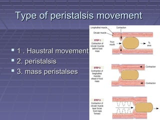 Type of peristalsis movementType of peristalsis movement
 1 . Haustral movement.1 . Haustral movement.
 2. peristalsis2. peristalsis
 3. mass peristalses3. mass peristalses
 