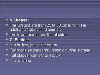  b. Uretersb. Ureters::
 The Ureters are from 25 to 30 cm long in theThe Ureters are from 25 to 30 cm long in the
adult and 1.25cm in diameter.adult and 1.25cm in diameter.
 The lower end enters the bladder.The lower end enters the bladder.
 C. BladderC. Bladder::
 Is a hollow, muscular organIs a hollow, muscular organ
 Functions as temporary reservoir urine storageFunctions as temporary reservoir urine storage
 Full bladder can contain 0.5 -1Full bladder can contain 0.5 -1
 liter of urineliter of urine
 