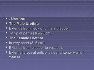  . Urethra:. Urethra:
 The Male UrethraThe Male Urethra
 Extends from neck of urinary bladderExtends from neck of urinary bladder
 To tip of penis (18–20 cm)To tip of penis (18–20 cm)
 The Female UrethraThe Female Urethra
 Is very short (3–5 cm)Is very short (3–5 cm)
 Extends from bladder to vestibuleExtends from bladder to vestibule
 External urethral orifice is near anterior wall ofExternal urethral orifice is near anterior wall of
vaginavagina
 