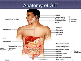 Anatomy of GITAnatomy of GIT
 