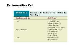Fundamental of Radiobiology -SABBU.pptx