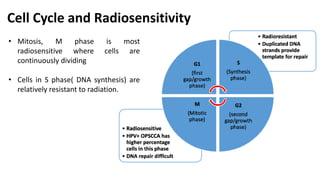 Fundamental of Radiobiology -SABBU.pptx